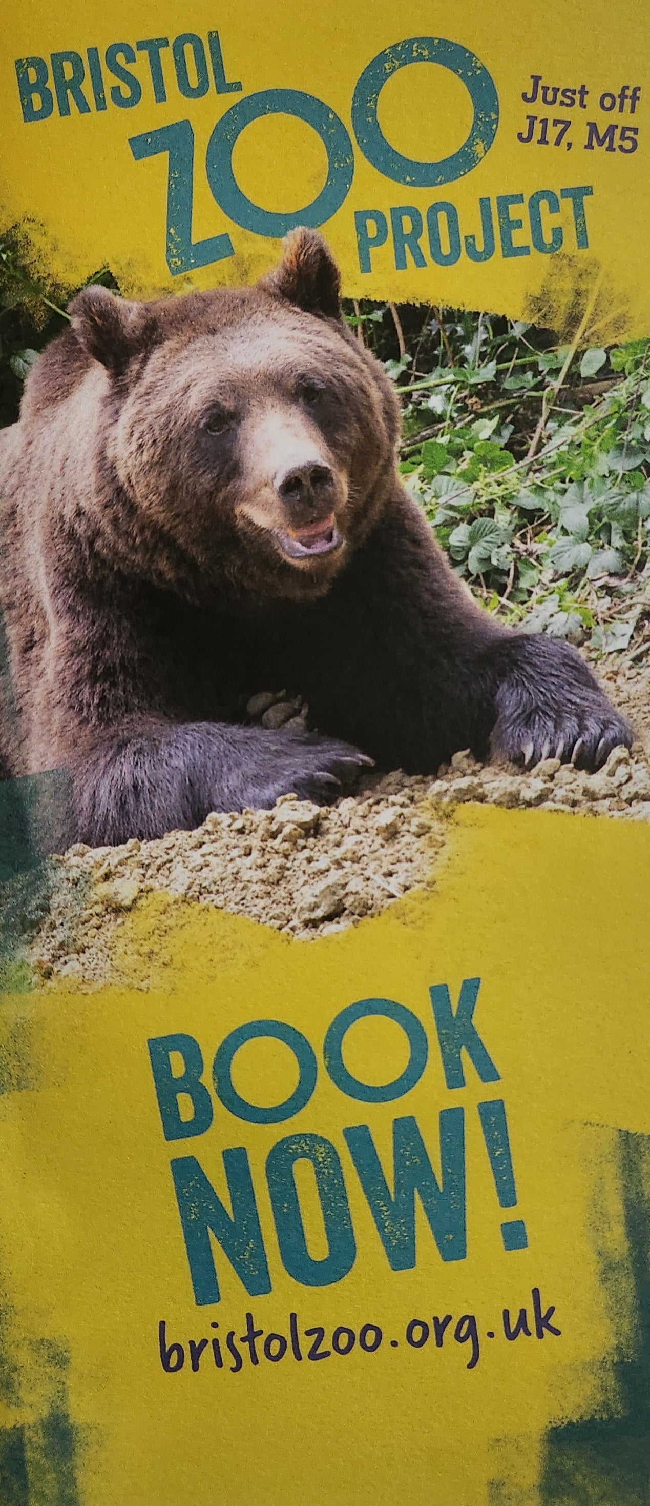 Bristol Zoo Project 2024 iVisit Info Display