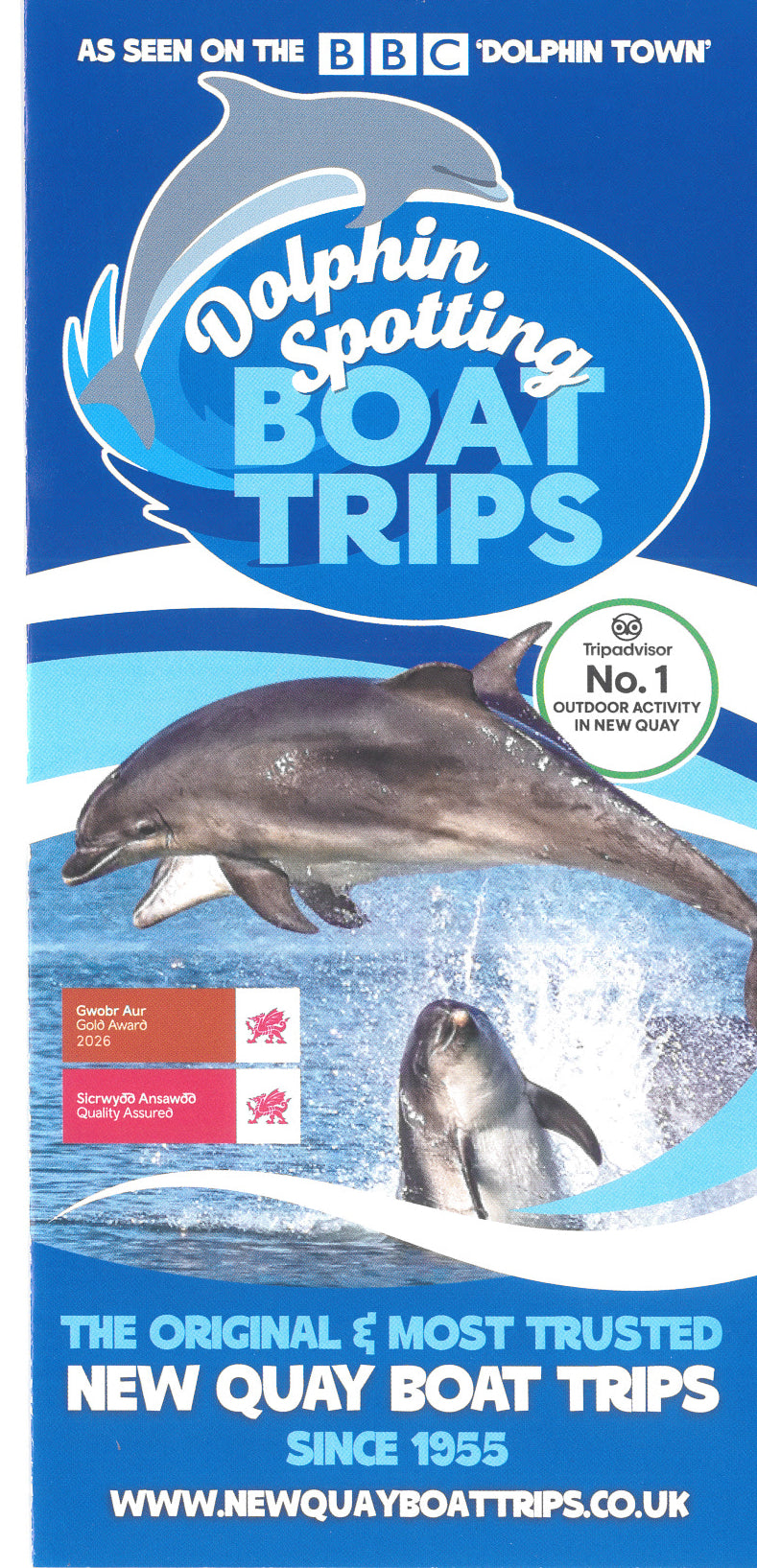 New Quay Boat Trips Dolphin Spotting 2026