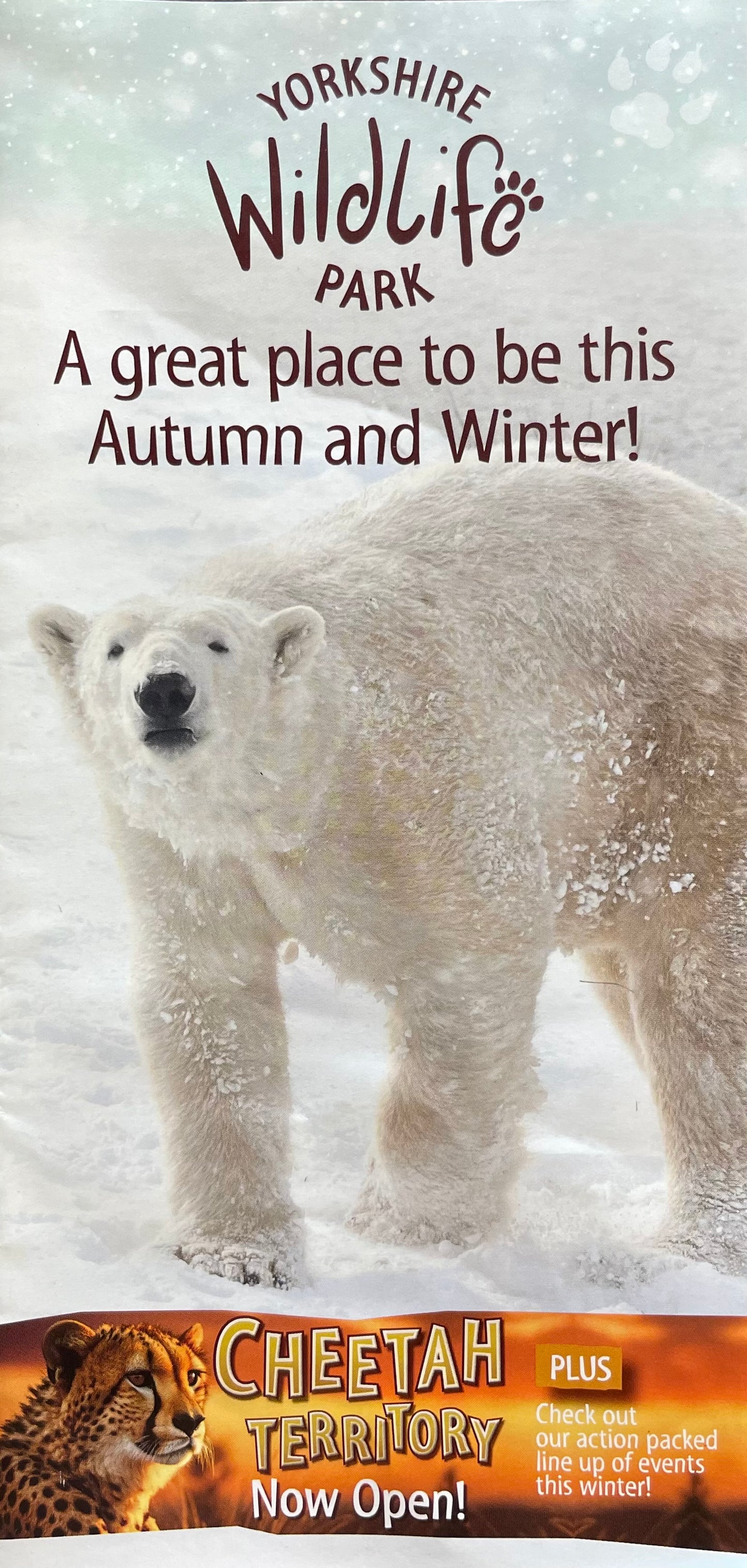 Yorkshire Wildlife Park - A great place to be this Autumn and Winter Cheetah territory now open! - Expires Date 17th December 2023
