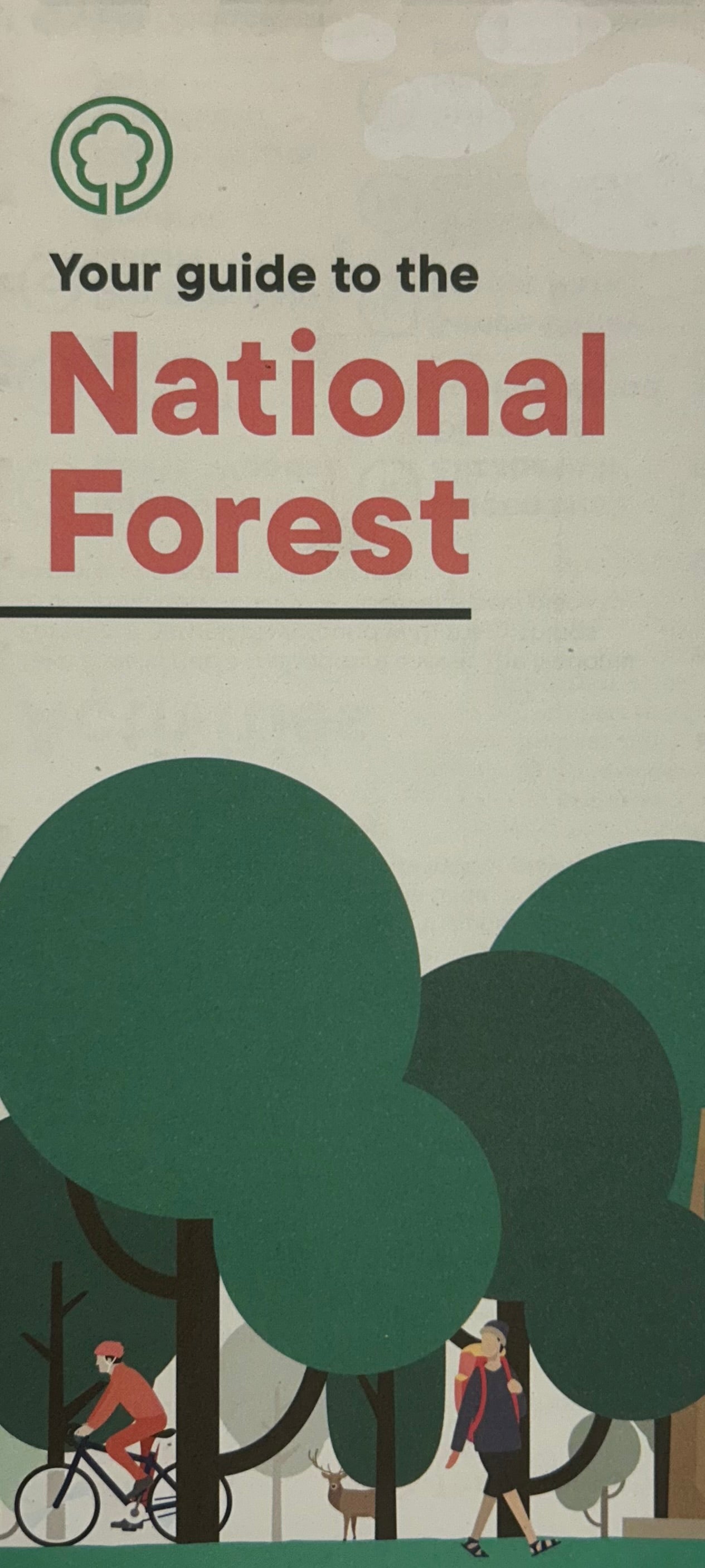 National Forest - Your guide to the national forest 2024