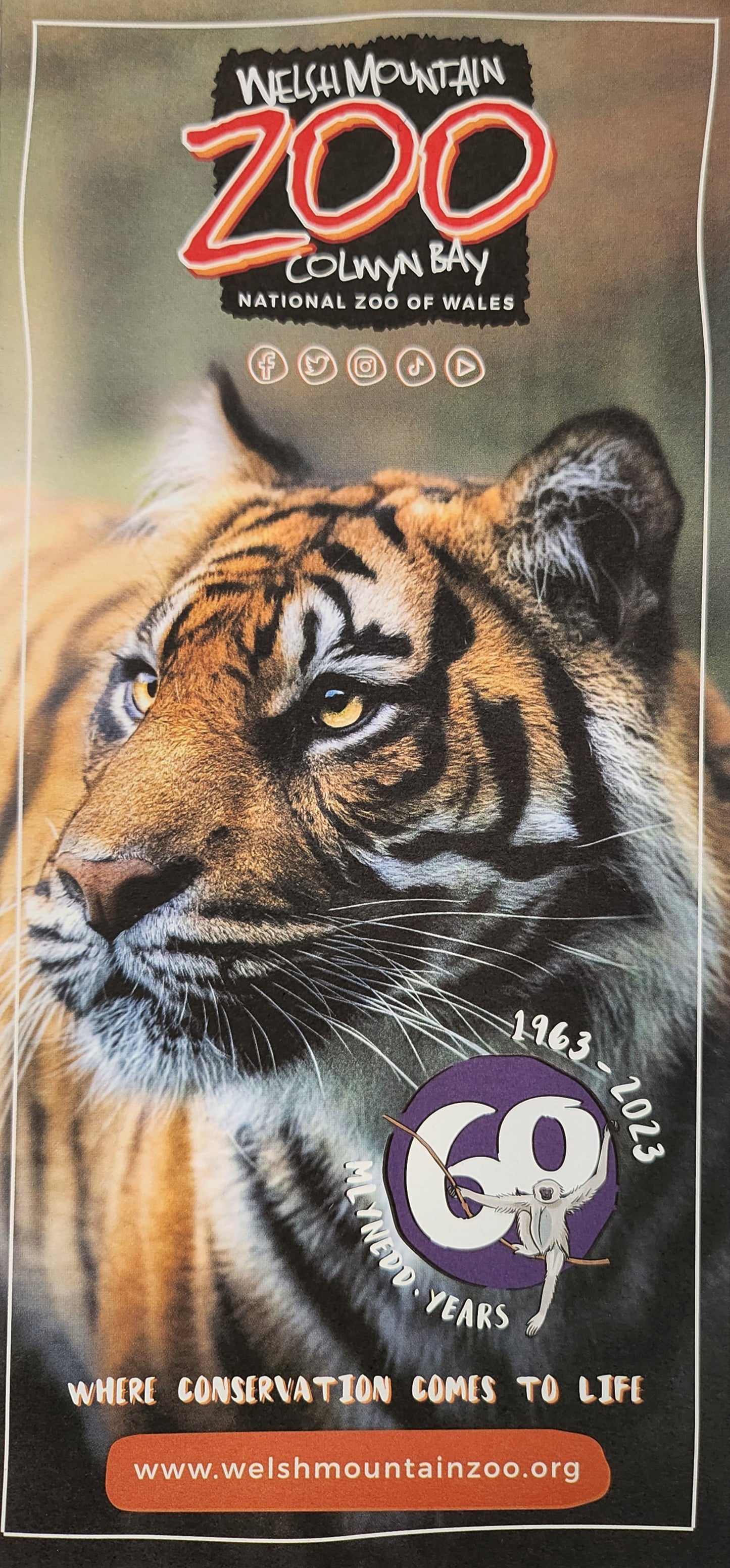 Welsh Mountain Zoo Colwyn Bay