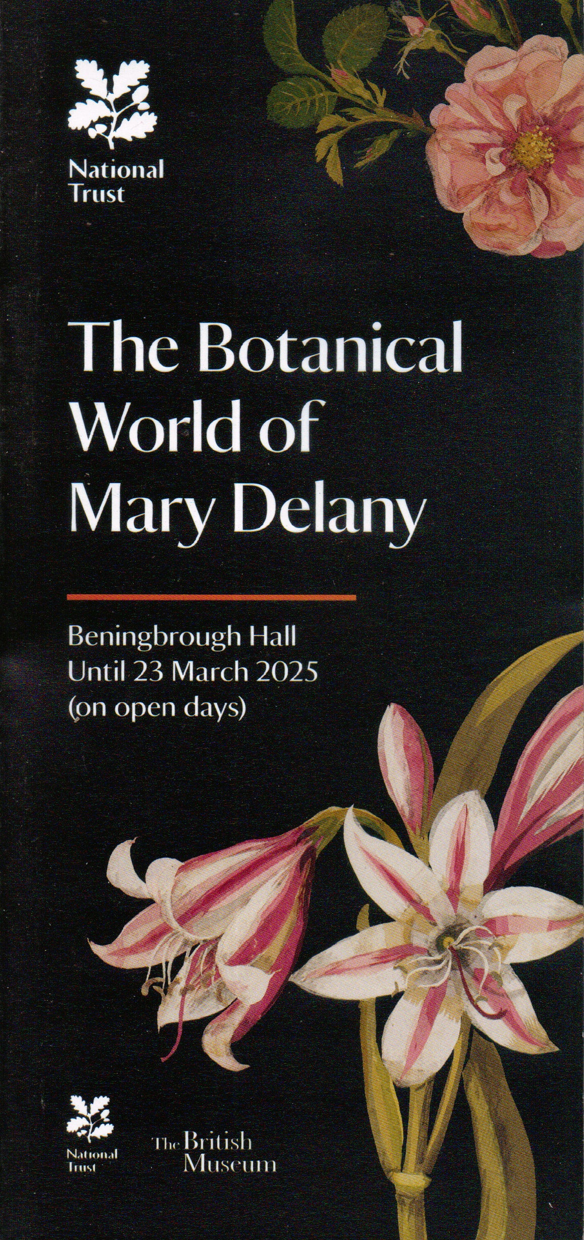 The Botanical World of Mary Delany