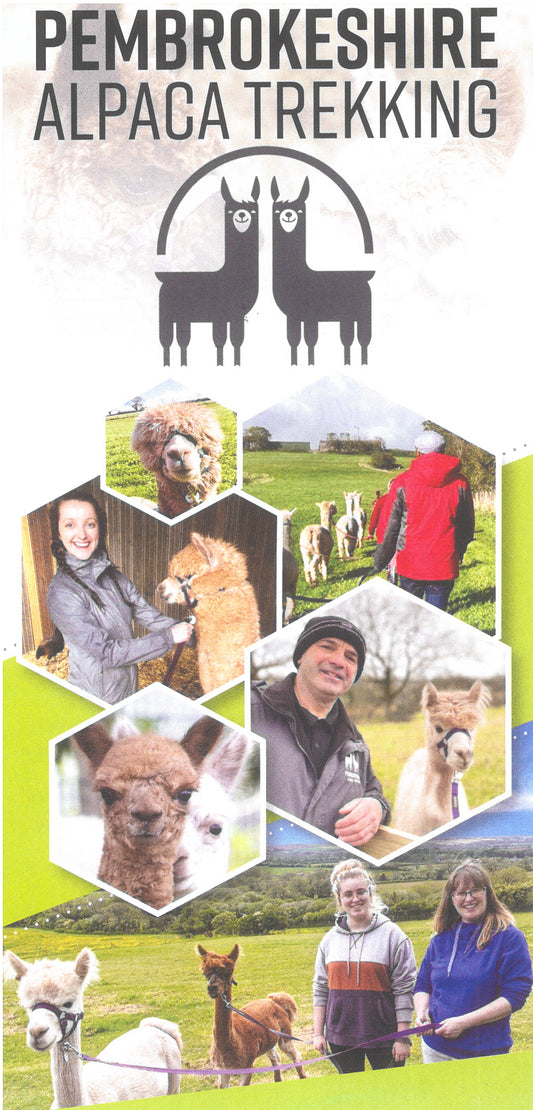 Pembrokeshie Alpaca Trekking