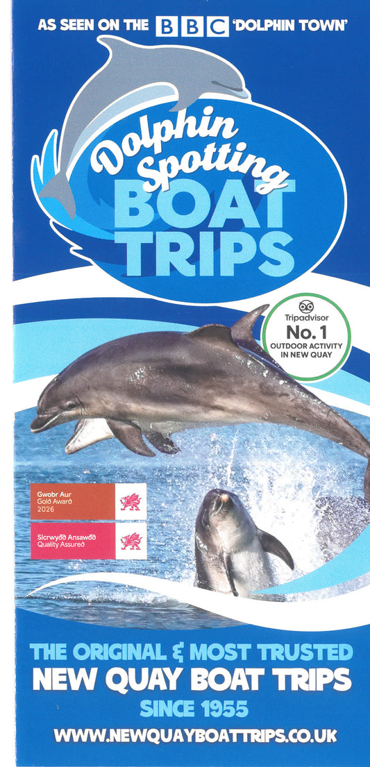New Quay Boat Trips Dolphin Spotting 2026