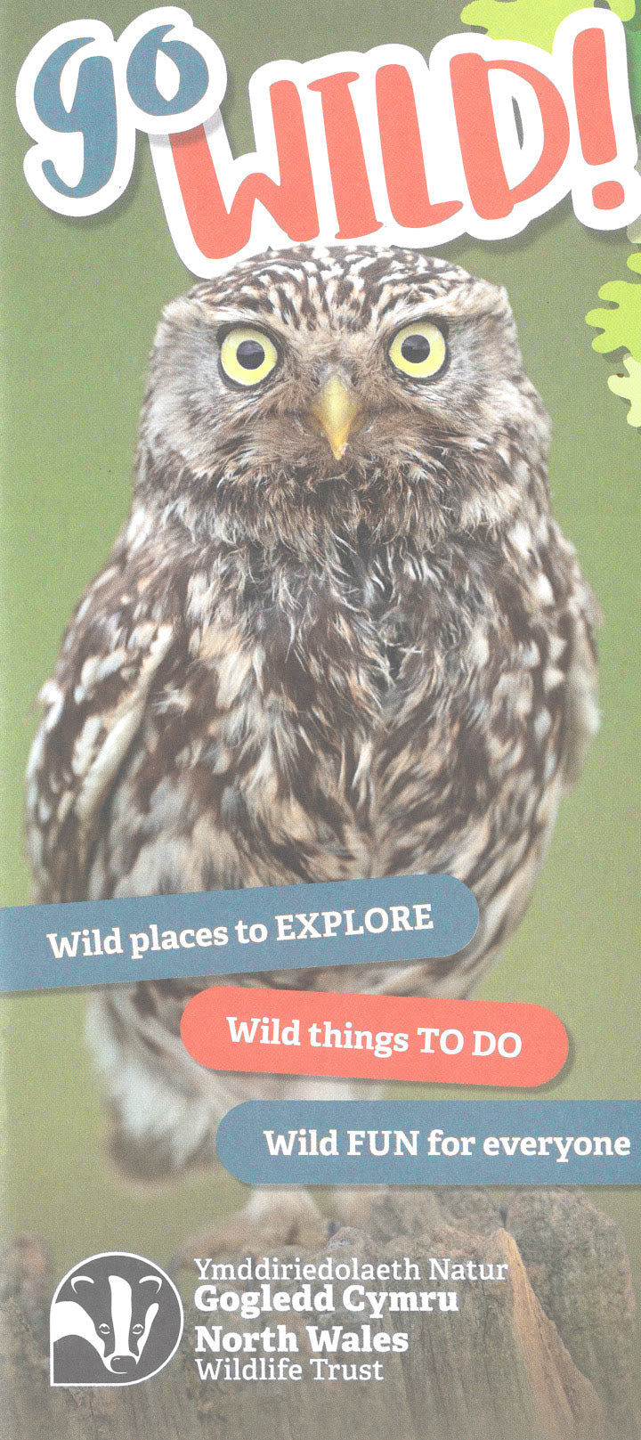 North Wales Wildlife Trust Go Wild 2026