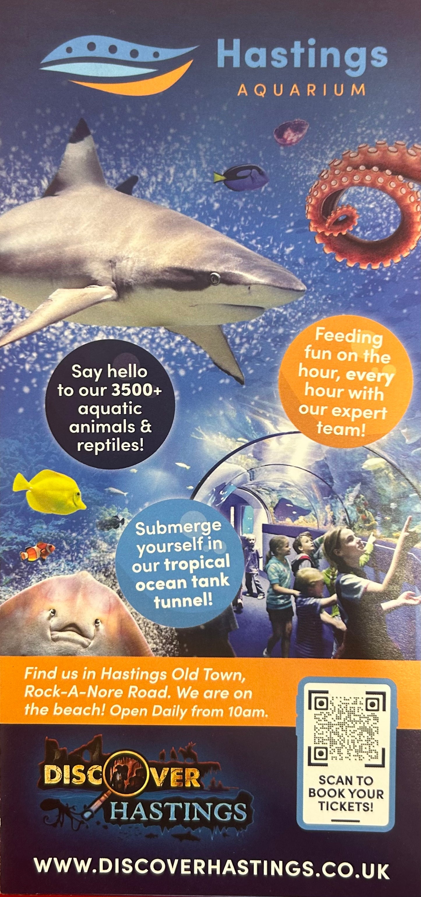 Hastings Aquarium 2023