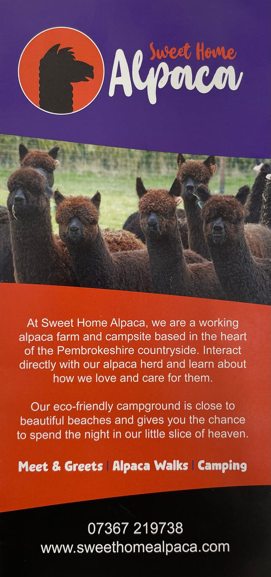 Sweet Home Alpaca - Meet & greets, Alpaca walks and Camping - 2023