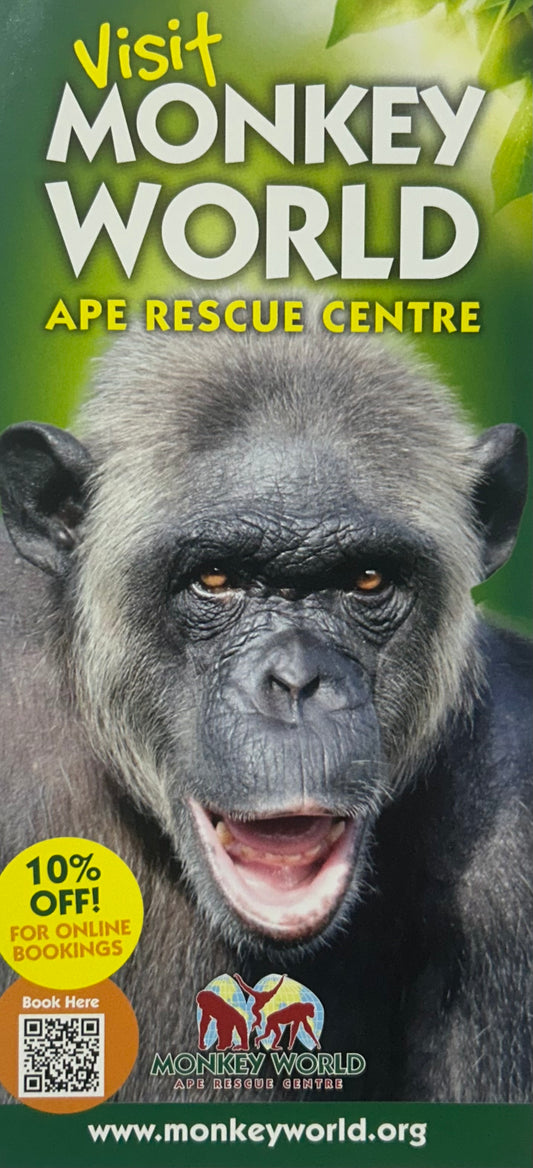 Visit Monkey World 2024 - Ape Rescue Centre