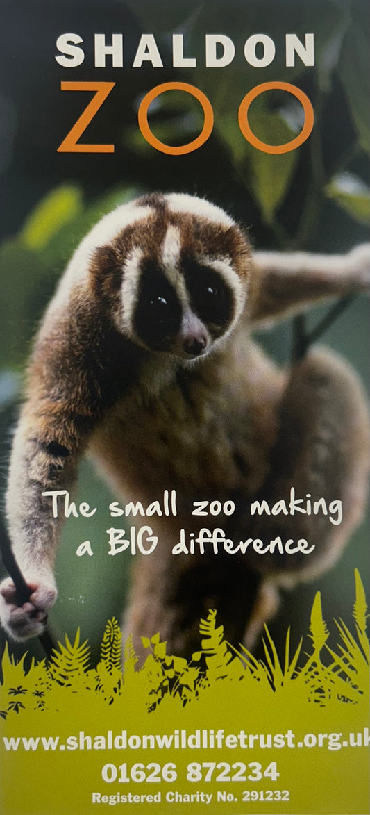 Shaldon Zoo 2024 - The small zoo making a big difference