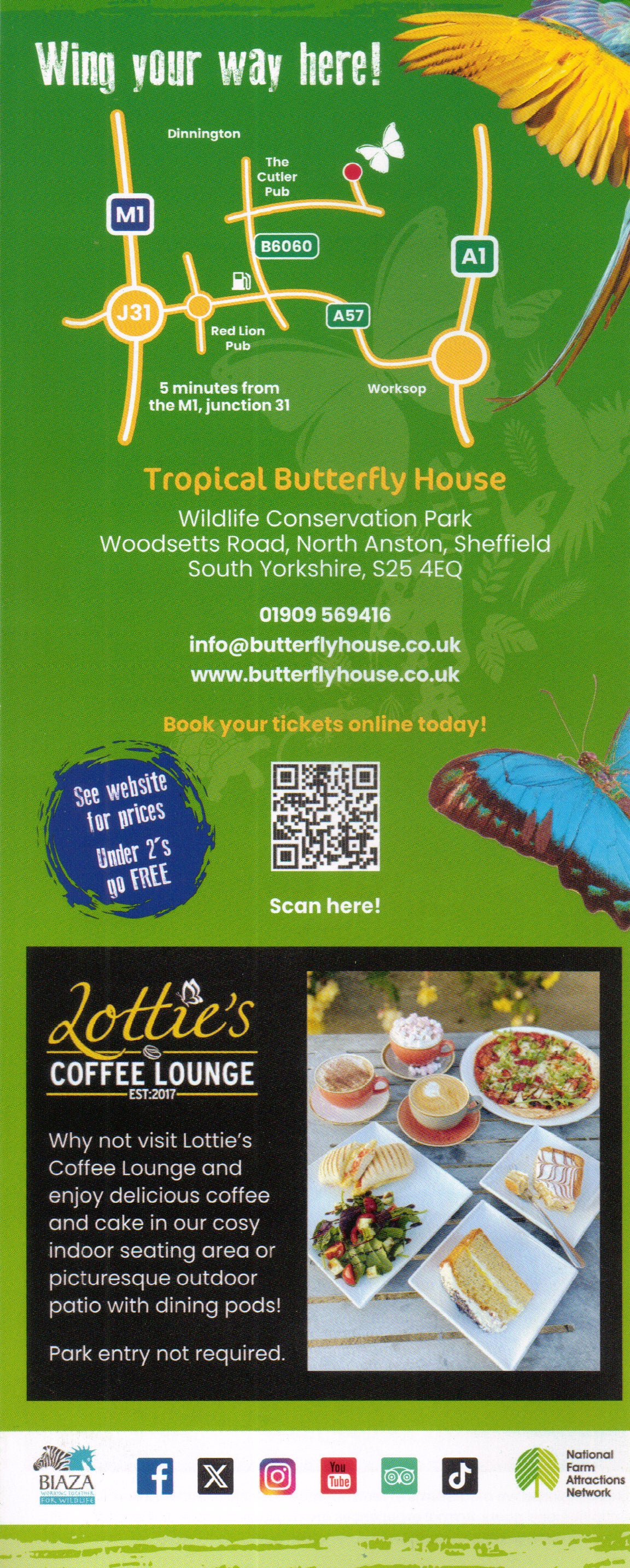 The Tropical Butterfly House