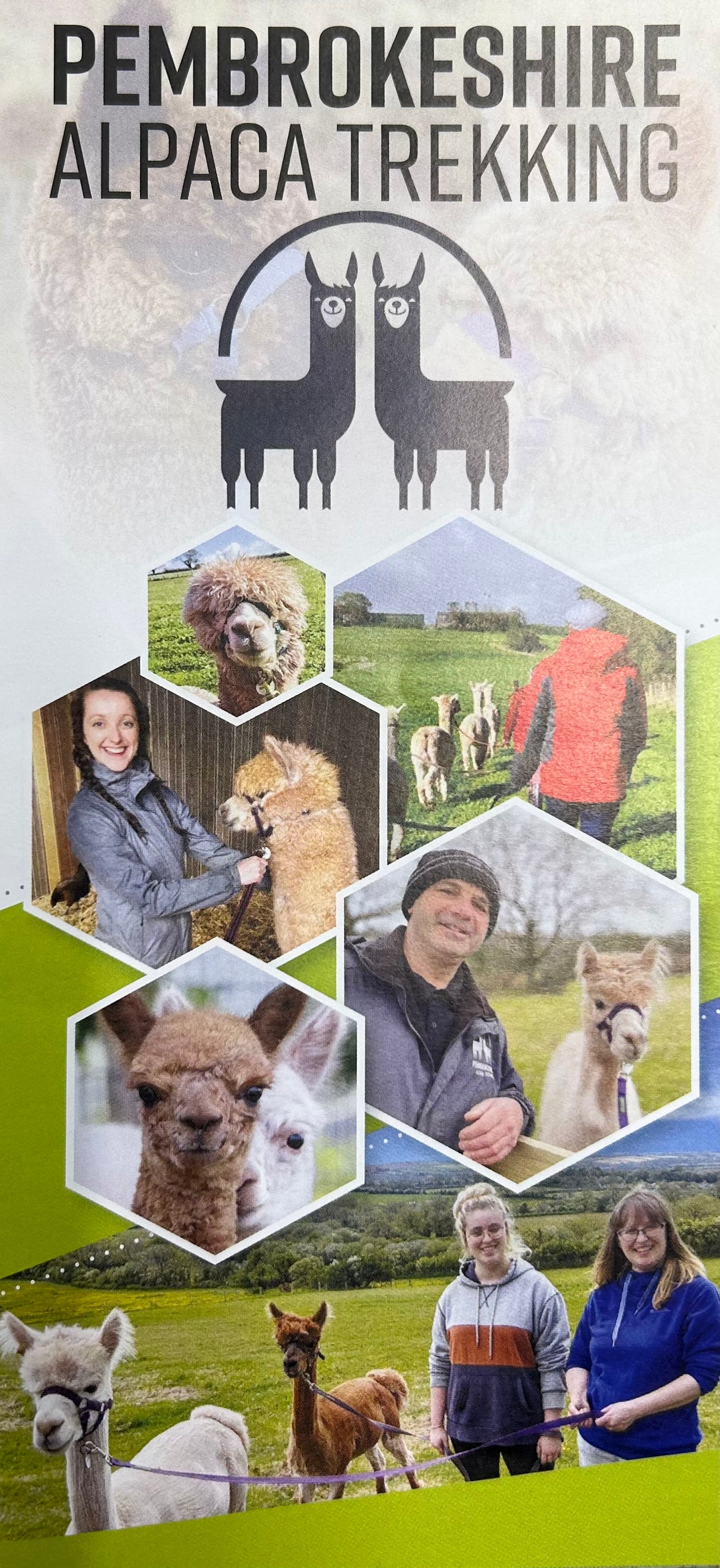 Pembrokeshire Alpaca Trekking 2023