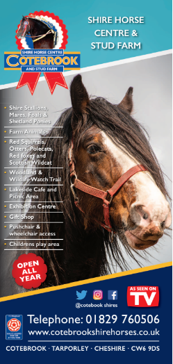CoteBrook Shire Horse Centre & Farm 2023